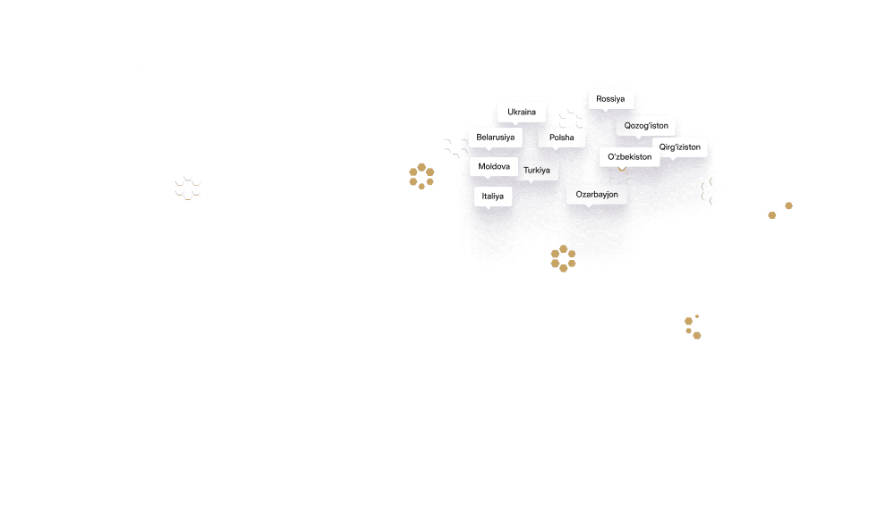 export map image